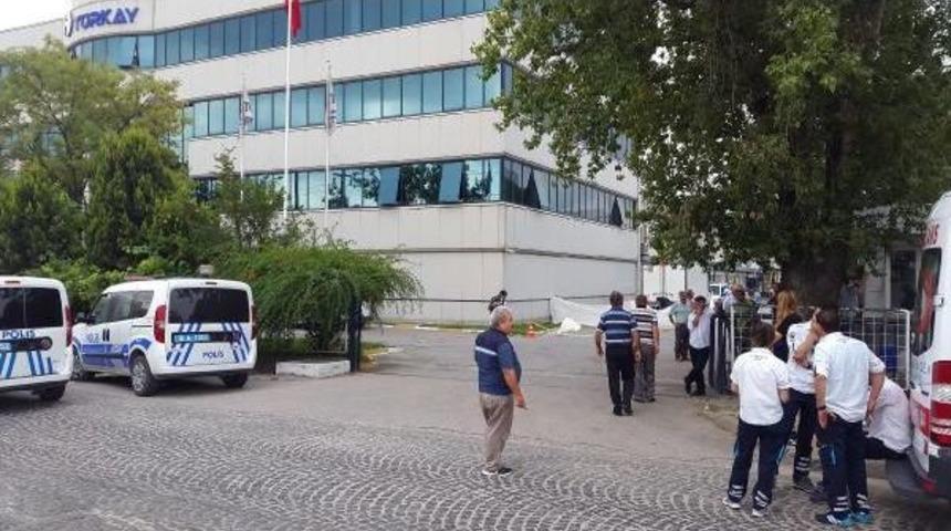 Ekmek Getiren Kamyonetinin Altında Kalan Kadın Öldü