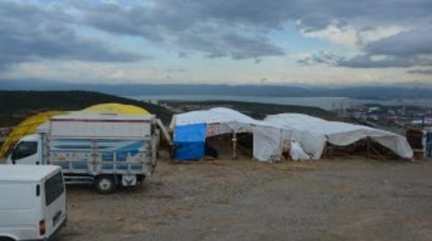 Dilovası’nda Kurban Satış Ve Kesim Yerleri Belirlendi