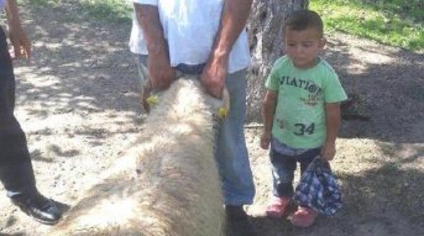 Takt&ouml;rde Babasının Kucağından D&uuml;şen 4 Yaşındaki Emir &Ouml;ld&uuml;