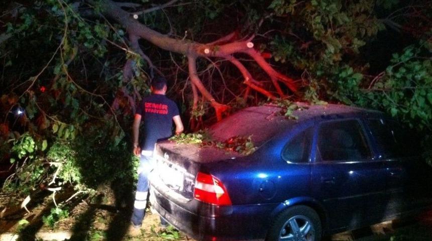 &Ouml;demiş&rsquo;te R&uuml;zgar Ağacı Otomobilin &Uuml;zerine Devirdi