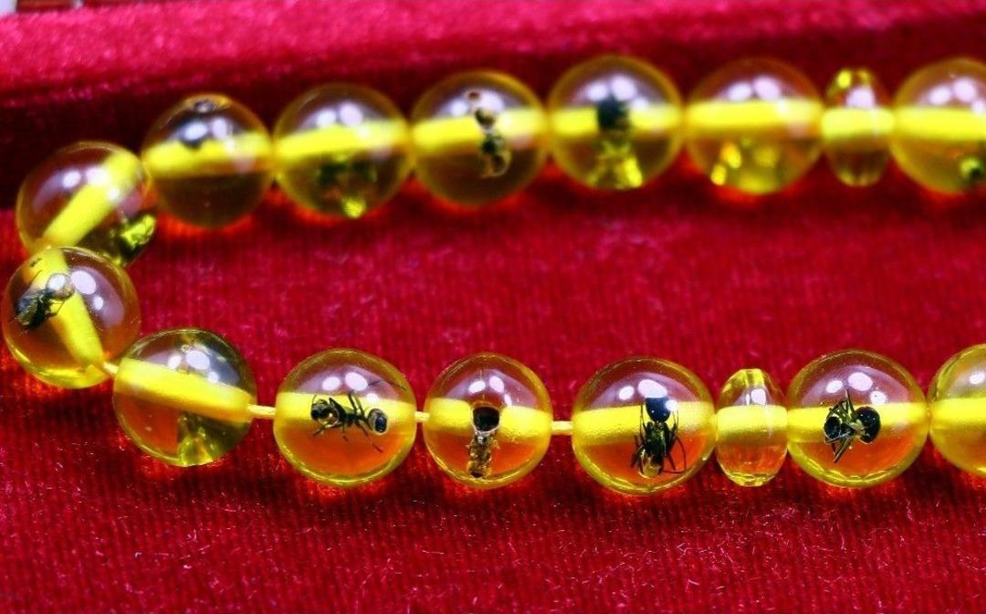 (&ouml;zel Haber) 40 Bin Yıllık Karınca Fosilli Tespih