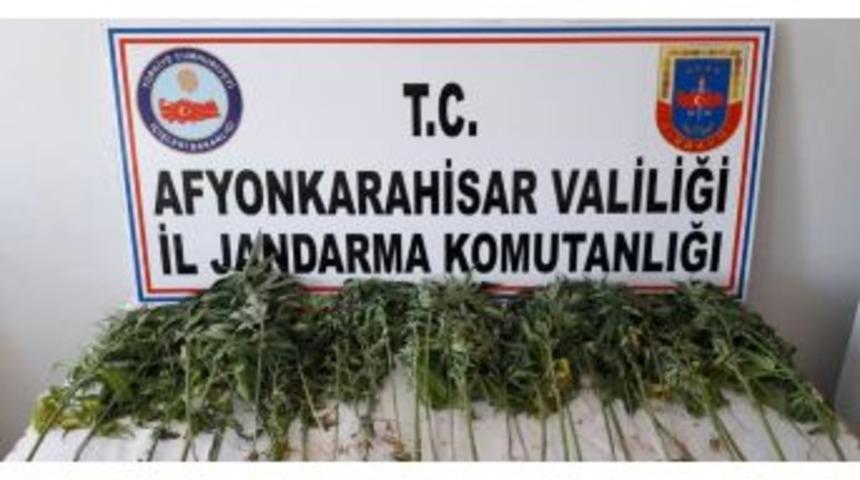 Jandarmadan K&ouml;ye Uyuşturucu Madde Operasyonu