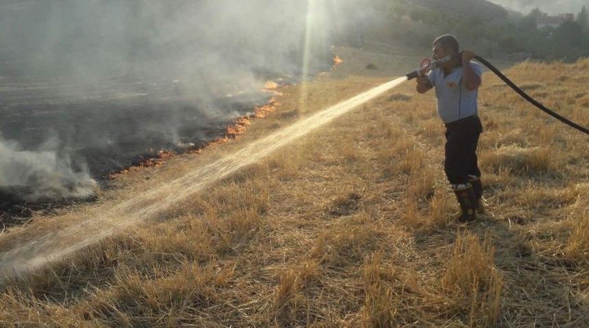 Siirt&rsquo;te Anız Yangını