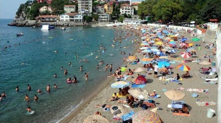 Zonguldak Plajında, Kumsaldaki Kirlilik Arı Sokmalarına Neden Oluyor