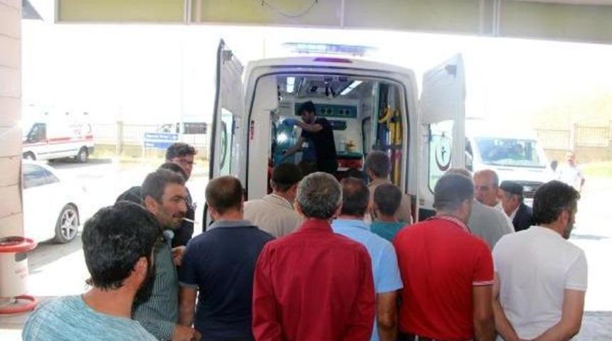 Ayı Saldırısına Uğrayan &Ccedil;obanı &Ouml;l&uuml;mden K&ouml;peği Kurtardı