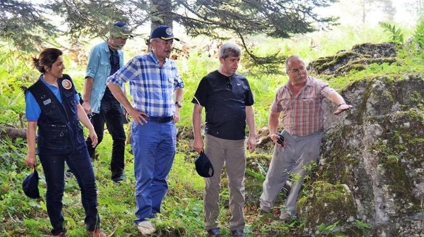 &Ccedil;ınar, Orman Emval &Uuml;retimi &Ccedil;alışmalarını İnceledi