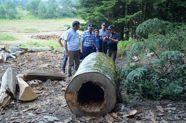 Çınar, Orman Emval Üretimi Çalışmalarını İnceledi