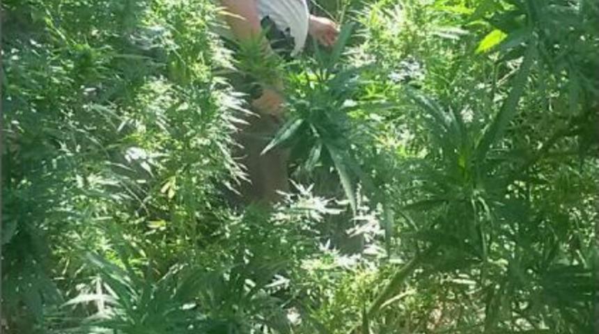 Beydağ Ve Kiraz&rsquo;Da Uyuşturucu Operasyonu