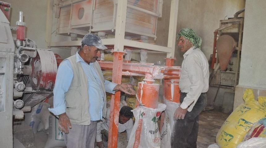 Değirmenlerde Yoğunluk