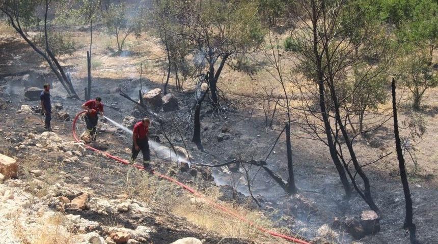 Anız Yangını Bah&ccedil;eye Sı&ccedil;radı