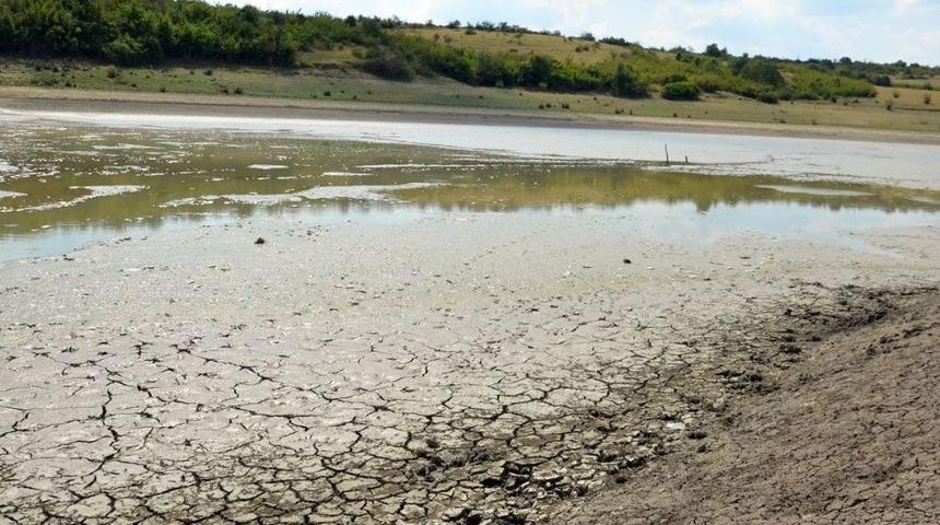 Tekirdağ&rsquo;da G&ouml;let Kurudu, Balıklar Telef Oldu