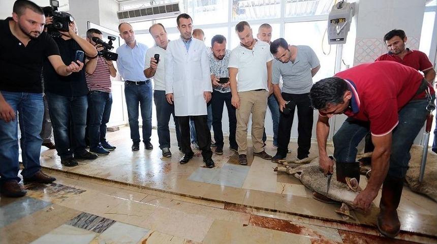 Kurban Kesim Elemanı Kursu