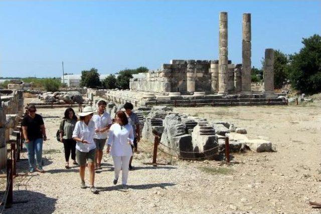 Muğla'daki Kazıda 2 Bin 600 Yıllık Gizemli Mısır Mührü Bulundu