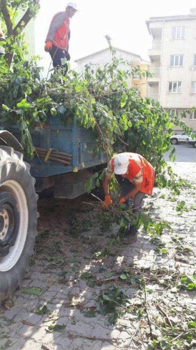 Simav’da Bayram Temizliği