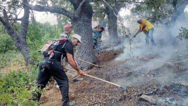 Tunceli'deki Orman Yangınları Kontrol Altına Alındı