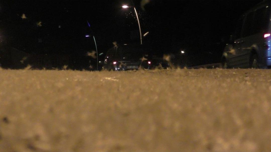 Ardahan&rsquo;da Kelebeklerin &Ouml;l&uuml;m Dansı