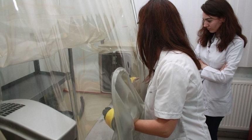 Enerjide Dışa Bağımlılık Biogaz&rsquo;la Azalacak