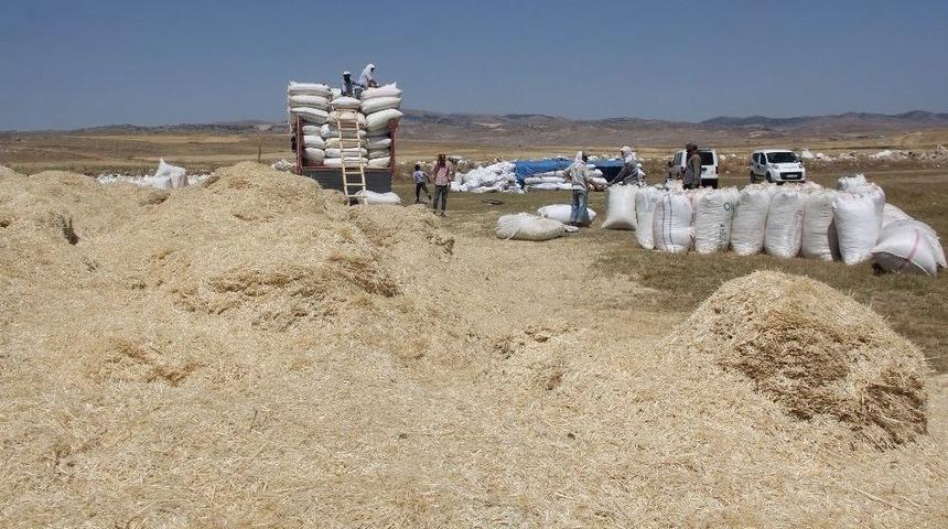 Sivas&rsquo;ta Kışlık Saman Hazırlıkları S&uuml;r&uuml;yor
