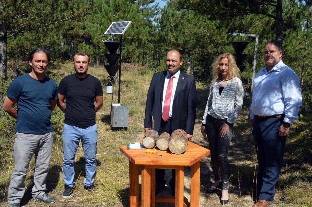 (&ouml;zel Haber) Ormanlardaki Zararlı Kabuk B&ouml;ceğine Karşı Elektronik Tuzakla M&uuml;cadele Edilecek