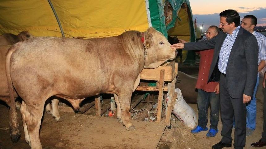T&uuml;rkiye&rsquo;nin En Nitelikli Kurban Satış Alanı Ke&ccedil;i&ouml;ren&rsquo;de
