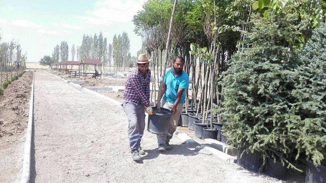 Sungurlu’da 7 Bin 500 Fidan Toprakla Buluştu