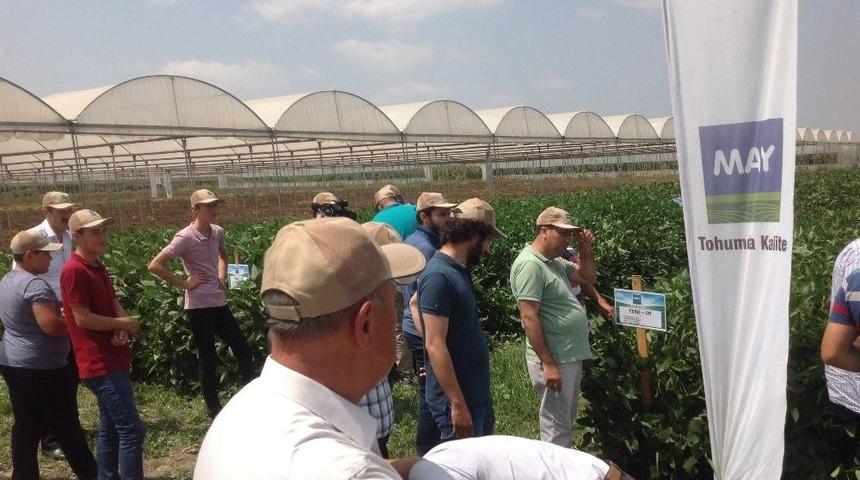May Tohum Tarım Sekt&ouml;r&uuml;nde Ar-ge&rsquo;ye En &Ccedil;ok Yatırımı Yapan Firma