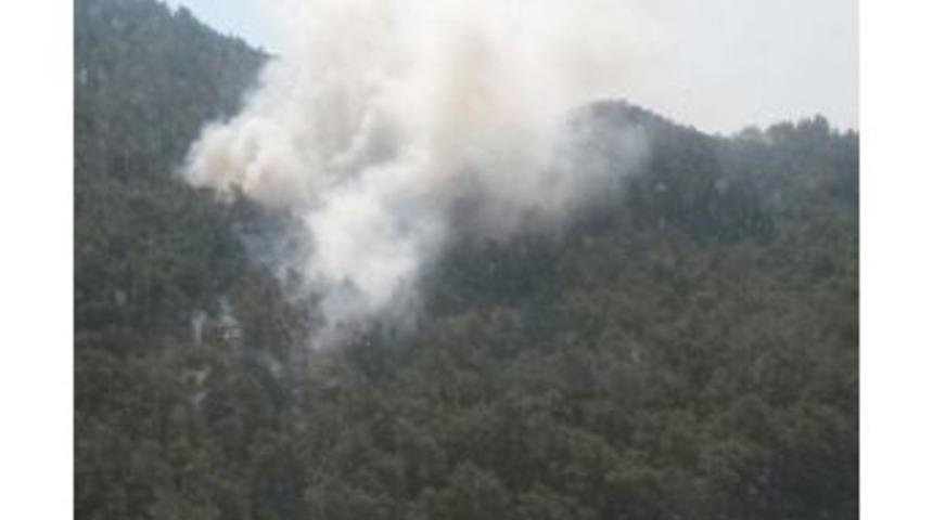 Milas&rsquo;ta Orman Yangını