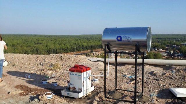 Belediyeden Çöp Arıtma Tesislerinde Sokak Hayvanları İçin Özel Beslenme Sistemi