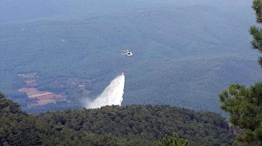 Muğla Ve Aydın&rsquo;da Orman Yangını