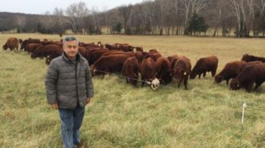 Et Fiyatları İthalatla D&uuml;şecek