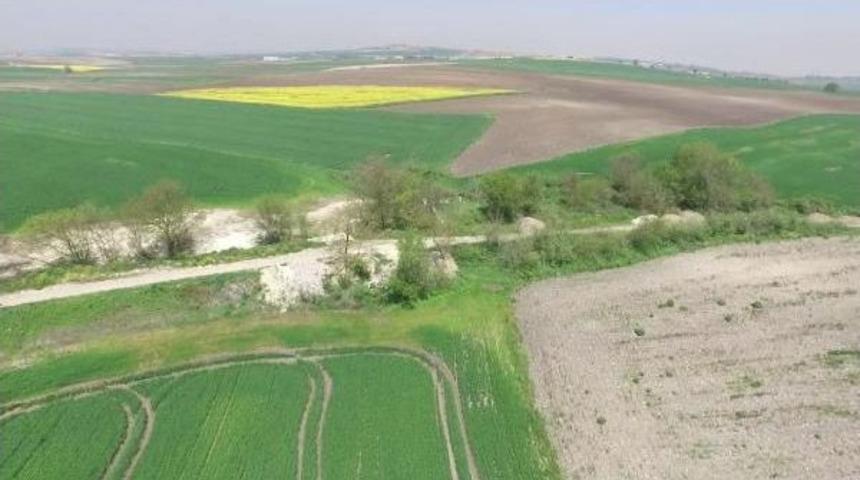 "yol Kenarındaki Tarlalarda Yetişen &Uuml;r&uuml;nler Daha Fazla Risk Taşıyor"