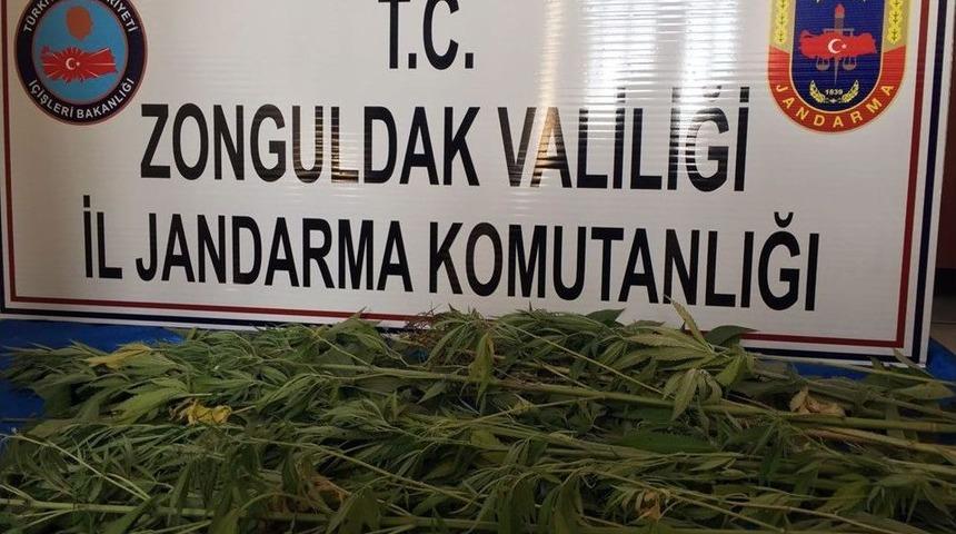 Jandarmadan Kenevir Operasyonu