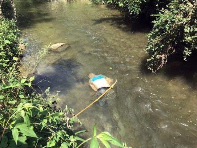 Düzce'de Derede Erkek Cesedi Bulundu