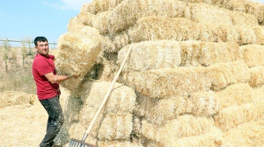 Yozgat&rsquo;ta Besiciler Kış Hazırlığına Başladı