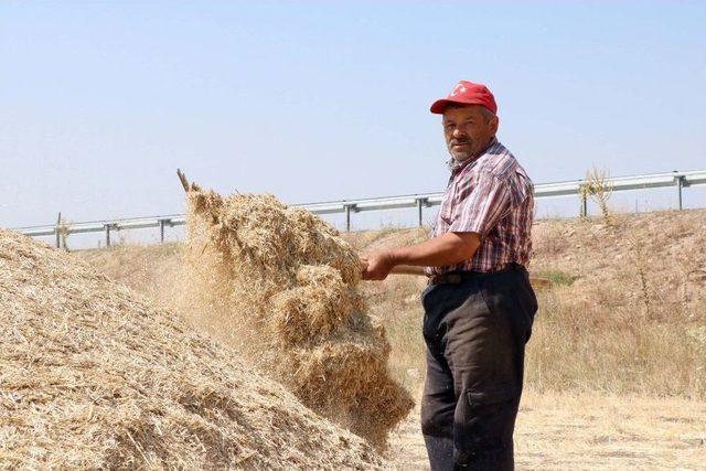 Yozgat’ta Besiciler Kış Hazırlığına Başladı