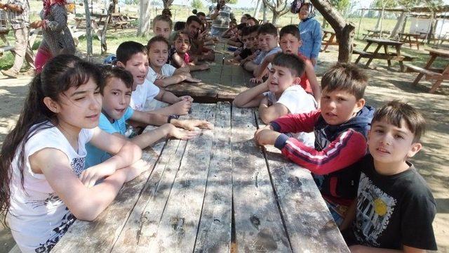 Burhaniye’de Kursiyer Çocuklar Piknikte Buluştu