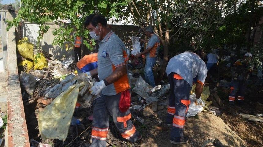 &Ccedil;&ouml;p Evden Yılan &Ccedil;ıktı