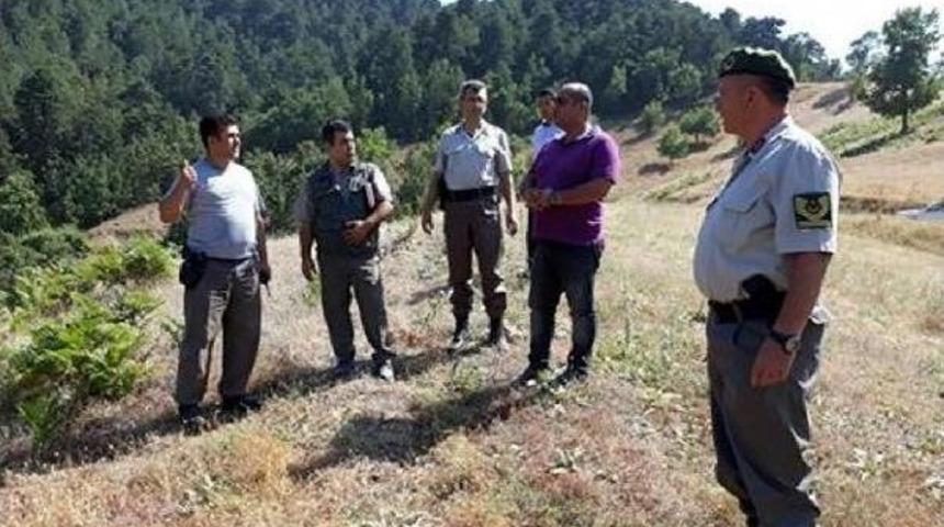 Kiraz'da, Kaymakamın Da Katıldığı Hintkeneviri Operasyonu