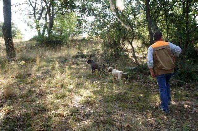 Edirne'deki Merada Ilk Kez 'trüf' Mantarı Arandı