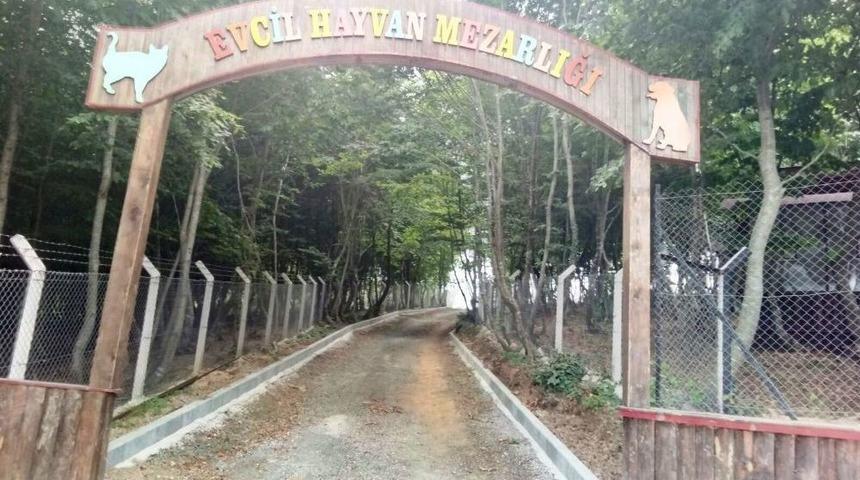 Hayvan Haklarında Samsun &Ouml;rnek Şehir G&ouml;sterilecek