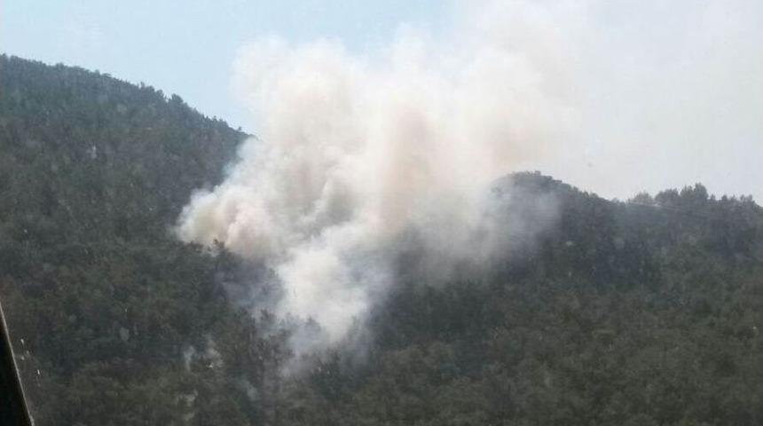 Bozdoğan’da 10 Dönüm Tarım Arazisi Yangında Zarar Gördü