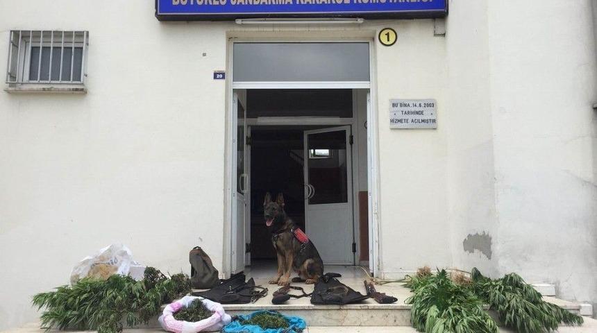 Jandarmadan Uyuşturucu Operasyonu: 3 G&ouml;zaltı