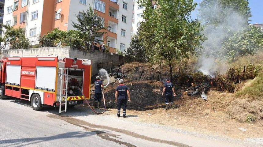 Sinop&rsquo;ta Ot Yangını