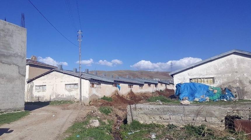 B&uuml;y&uuml;kşehir Belediyesinden Ahır Denetimi