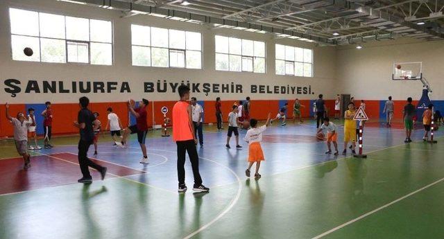 Türkiye’nin En Genç İlinde Basketbola Yoğun İlgi