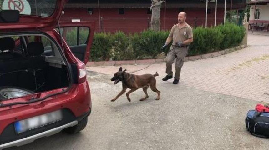 Lastik I&ccedil;indeki Esrarı, 'pars' Buldu