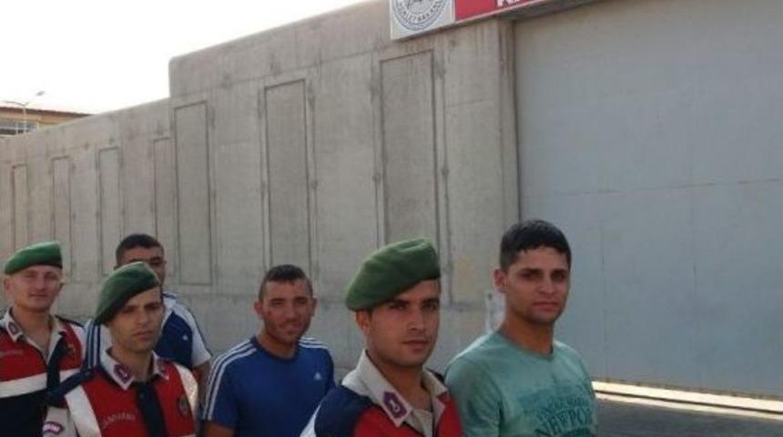 Koyun Hırsızları Jandarmadan Kaçamadı