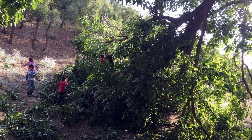 Beyt&uuml;şşebap&rsquo;ta Şiddetli Yağmur Hayatı Olumsuz Etkiledi