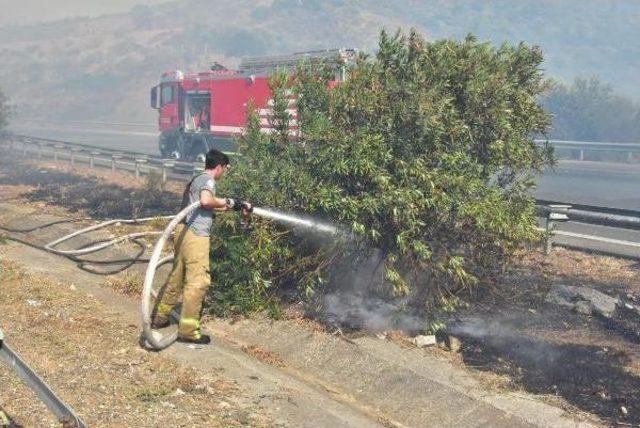 İzmir'de Otoyol Kenarında Çıkan Orman Yangını Korkuttu
