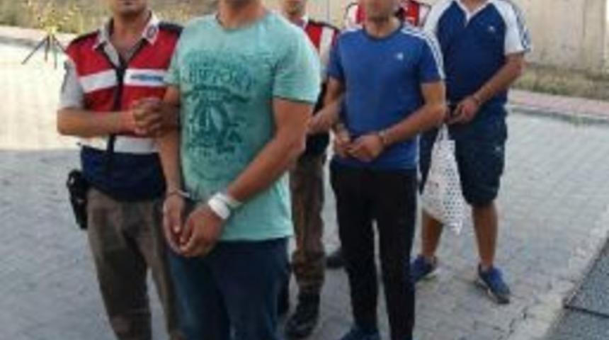 Koyun Hırsızları Tutuklandı